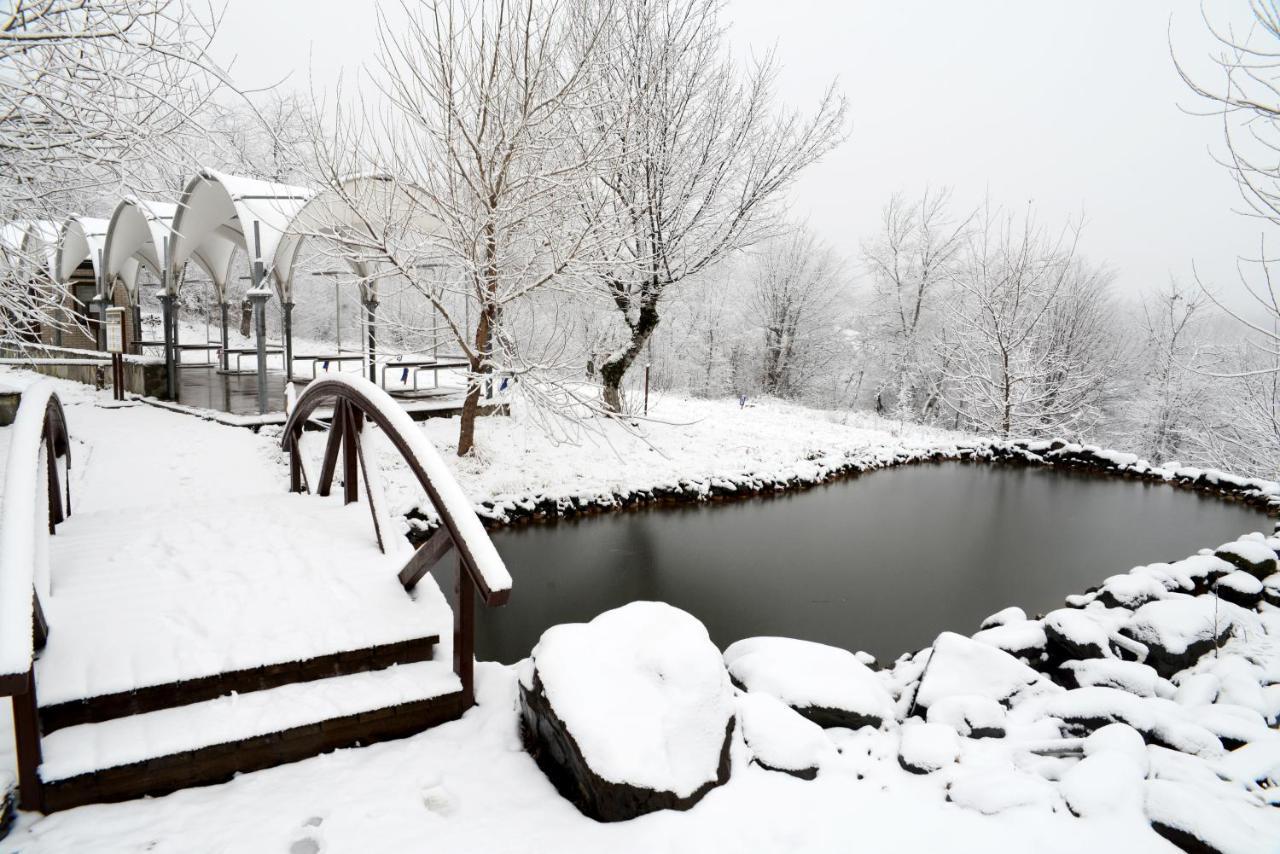 Gabala Shooting Club Hotel Buitenkant foto